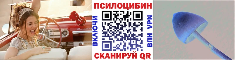 Псилоцибиновые грибы прущие грибы  продажа наркотиков  ссылка на мегу   Пестово 
