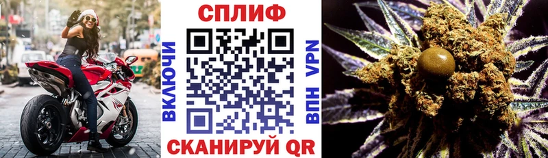 как найти наркотики  Пестово  Каннабис семена 